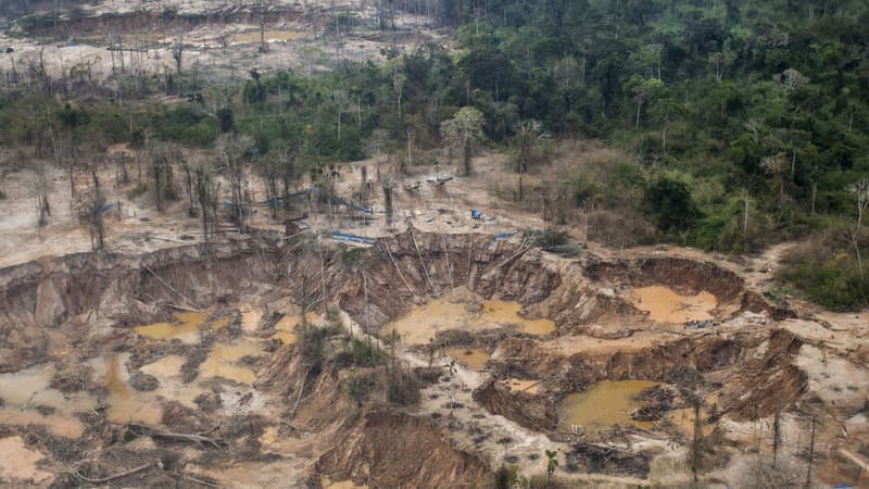 Ça rapporte plus que la cocaïne: l’or a tellement flambé depuis un an que les gangs sud-américains préfèrent le métal précieux à la drogue